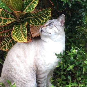 Meet your Posher, Grace